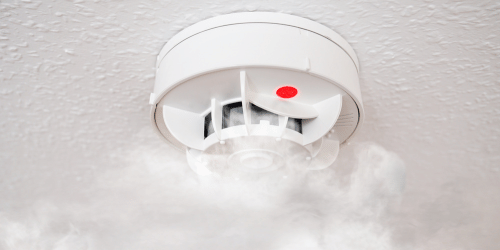  Fire Alarm and Smoke Detection Systems